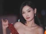 Toy DaiAnNaLuc